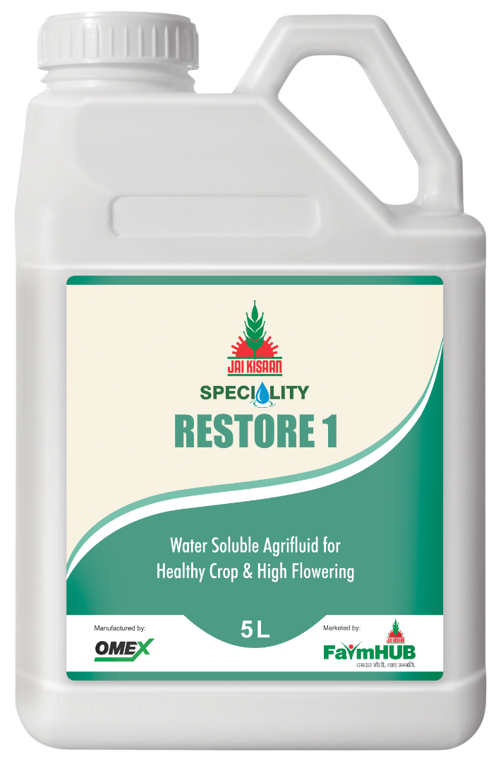 RESTORE 1
